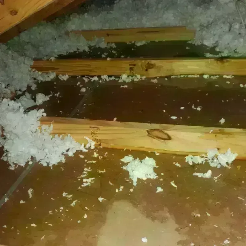 Best Attic Water Damage Service in South Henderson, NC